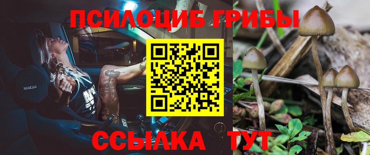 Галлюциногенные грибы мухоморы Сатка