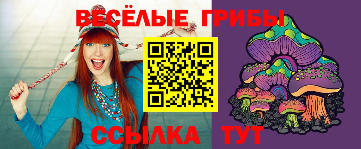 сколько стоит  Вход с VPN  Сатка  Псилоцибиновые грибы Cubensis 