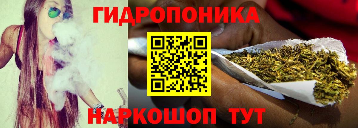 Бошки марихуана конопля Сатка